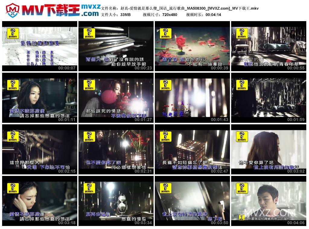 赵真-爱情就是那么傻_国语_流行歌曲_MA508300